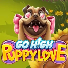 Play Go High Puppy Love slot by RubyPlay on wyns-casino.eu
