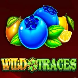 Official Slots logo: Wild Traces by Amusnet Interactive at Wyns Casino