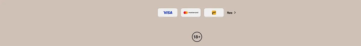Payment methods footer with Visa, Mastercard, and Maestro icons, a “More” link, and an 18+ badge centered on a light beige background.